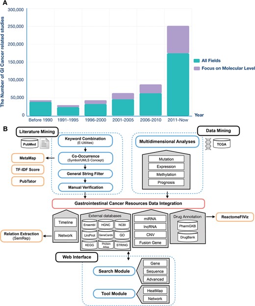 The GI cancer-related studies found in the PubMed database and the schema of the GIDB. (A) PubMed queries for GI cancer-related studies and GI cancer-related studies at the molecular level. (B) It describes the information retrieval steps used in GIDB extracted from the literature and datasets. It also shows the approaches for literature mining and data mining integrated into GIDB.