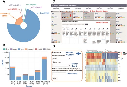 The statistics of curated signatures in the current version of the GIDB database. (A) A pie chart showing the number of curated signatures in GIDB, including gene, fusion gene, CNV, miRNA, lncRNA and interaction. (B) A histogram chart showing the number of curated signatures in each type of GI cancer. (C) A case of `BTC Gene-Timeline’ feature and `ABCB1 Gene-Timeline’ feature in BTC. (D) A case using the heatmap analysis tool: GIDB supports two types of datasets (Expression and Methylation) and two characteristics for classification (Gender and Age). The number of gene clusters or sample clusters can be adjusted manually. In the right panel, a list of selected curated genes is displayed.