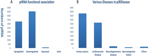 Statistics and distribution (A) of dysfunction types of piRNAs (B) in various disease types in piRDisease database.