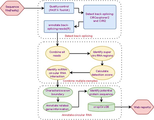 Analysis pipeline.