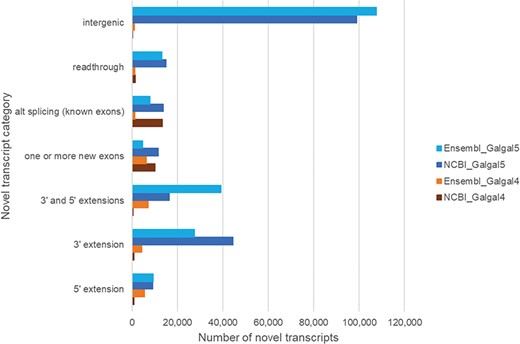 Novel transcripts not in the current chicken gene annotation. Novel transcripts are assembled mRNAs that differ from the gene model, and this difference is shown for NCBI and Ensembl genes.