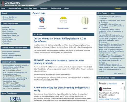 The enhanced GrainGenes homepage.