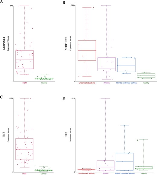 Comparison of gene expression profile in different tissues from HDM-sensitized individuals. Gene expression data from two datasets present in our collection are shown: (i) gene expression patterns in HDM-stimulated CD4 T cells and IgG to IgE ratios—GSE70760, and (ii) distinct epithelial gene expression phenotypes in childhood respiratory allergy—GSE19190—disease state. SERPINB2 (A and B) and IL1β (C and D) gene expression. HDM = house dust mite; Control = Healthy = healthy individuals; and Uncontrolled asthma = individuals with rhinitis and uncontrolled asthma (further definition can be found in the original study description (33)).