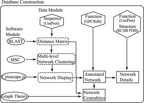 Flowchart of the construction of the SeQuery. Hexagons denote the source databases, and ovals denote computational methods. Intermediate data derived during computation is represented by dashed squares, while the generated graphs for visualization are represented by solid squares.