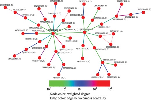 Partial minimum spanning tree of olfactory receptors near the hub sequence Q8VFK7. Nodes are colored based on their closeness centrality values, which are also labeled in parentheses. Edges are colored based on their betweenness centrality values. Thin edges in the graph represent zero-distance sequence pairs.