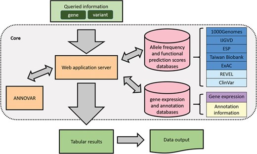 Overview of VariED database.