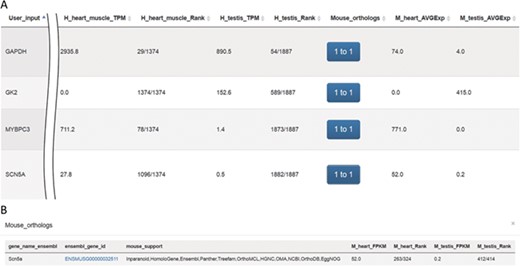 Screenshots of outputs from the ‘Expression profiles’ function. (A) Gene expression profiles for heart and testis in human and mouse for genes SCN5A, MYBPC3, GK2 and GAPDH. (B) Mouse orthologs for the SCN5A gene.