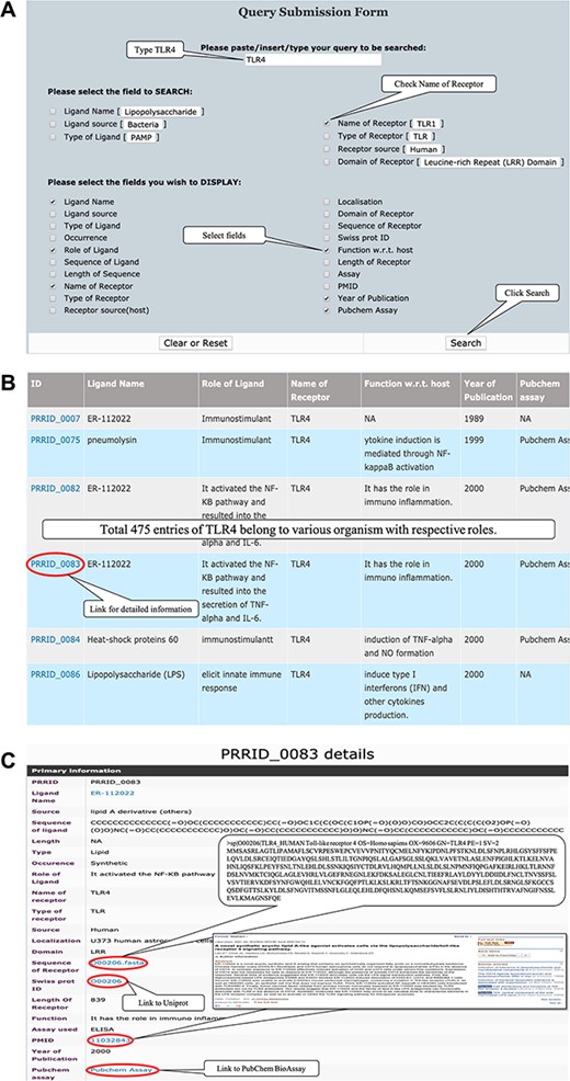 (A) Representative screenshot of PRRDB 2.0 demonstrating the submission of a query in simple search page. (B) Screenshot of PRRDB 2.0 demonstrating the result page after submission of a query in simple search page. (C) Screenshot of PRRDB 2.0 demonstrating the detailed information page after the result page.