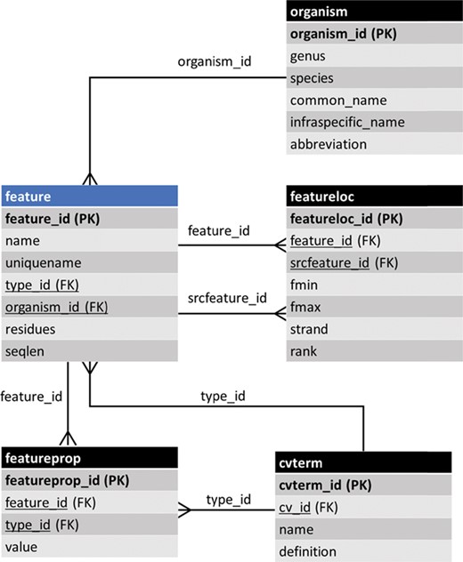 The entity–relationship (ER) diagram of the feature table of Chado and some of its linked tables (some table columns removed). The feature table stores genomic features and ancillary data is housed in linked tables.