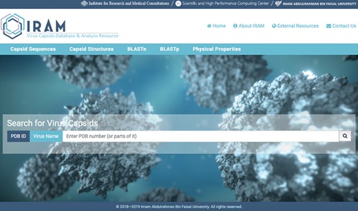 Snapshot of IRAM homepage.