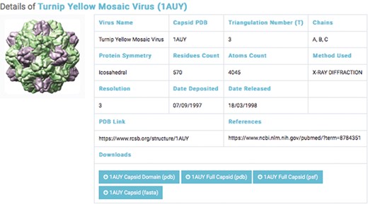 Details of a selected capsids structure. Capsid files: capsid domain PDB, full capsids PDB, full capsid PSF and capsid FASTA.