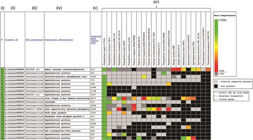 Components of the Oomycete Gene Table. Each row represents a gene cluster. Several columns are arranged to present (i) Row numbers, (ii) Cluster identification numbers, (iii) COG, (iv) Functional descriptions, (v) Expected gene lengths and (vi) organism names (e.g. 20 oomycetes and 2 diatoms). Percent completeness of a gene in each cell is indicated by color shading. A light-gray cell shows that a sequence with significant similarity (but without a complete open reading frame) is identified in a particular organism. A black cell indicates that no gene is identified in the corresponding genome.