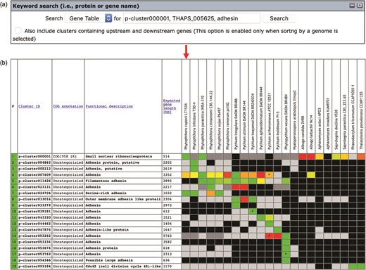The ‘Keyword search’ window of the Oomycete Gene Table: (a) a single or combined keyword(s) (e.g. cluster ID, COG number and protein/gene name) can be entered in the ‘input’ box for searching the genomic data of all 22 organisms and (b) the Oomycete Gene Table shows a search result of the matched gene contents of all or selected genomes.