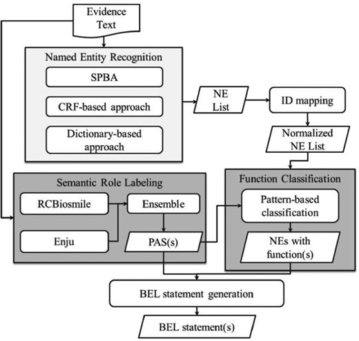 BelSmile workflow.