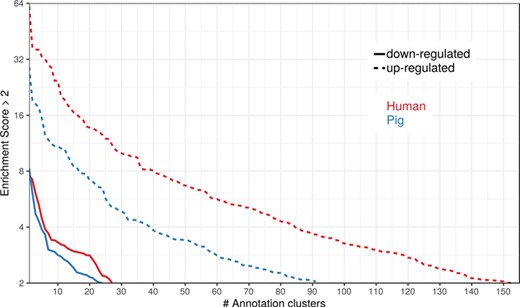 Number of DAVID functional annotation clusters plotted against the enrichment score for assigned human gene IDs and the original porcine gene IDs. A cut-off of 2 for the enrichment score was used (geometric mean of the P value of the categories in an annotation cluster ≤0.01). Results are shown for upregulated (dashed line) and downregulated (solid line) genes.