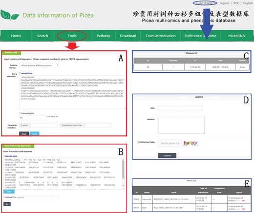 An example of how to use DESeq2 and BLAST in PICEAdatabase. The ‘red ovals’ and ‘blue ovals’ indicate the linkage to the tool module pages (DESeq2 and BLAST) and the linkage to the personal account page, respectively. (A and B) Examples for using BLAST and DESeq2. (C–E) Functions in personal account page, including message list, composing messages and analysis results.