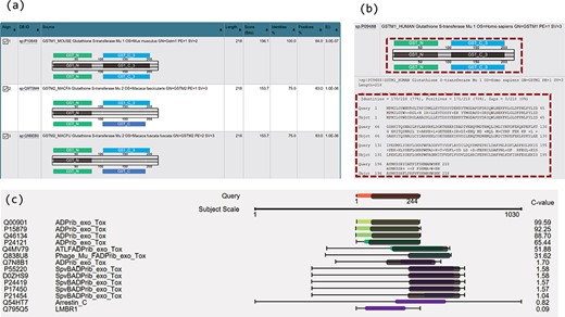 Novel visualizations for domain and sequence alignments. (a) Result summary table shows the domain alignments. (b) Domain alignment and sequence alignment in the same window allow comparison of the two types of alignments and ease the interpretation for the resulting hits. (c) Sequence and domain alignments are combinedly displayed in the view of multiple hits.