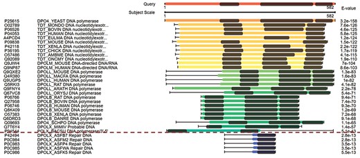 The combined domain and sequence alignments in the view of multiple hits easily excludes false-positive hits. The first column from the left side refers to the accession numbers of hits, the second column refers to the protein descriptions, the third column virtualizes the alignments and the last column indicates the E-values of the hits.