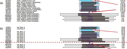 C-value to re-order hits for easy classification of true/false hits. (a) Domain alignments along with sequence alignments in the view of multiple hits ordered by E-values. The first column from the left side refers to the accession numbers of hits, the second column refers to the protein descriptions, the third column virtualizes the alignments and the last column indicates the E-values of the hits. (b) Domain alignments along with sequence alignments in the view of multiple hits re-ordered by C-values. The first column from the left side refers to the accession numbers of hits, the second column refers to the protein domains, the third column virtualizes the alignments and the last column indicates the C-values of the hits.