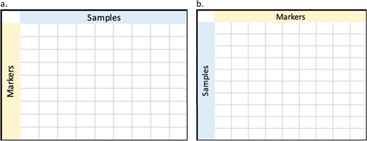 Different orientation of genotyping data. (a) markers in rows and samples in columns, whereas (b) shows markers in columns and samples in rows.