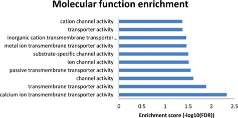 Results from the enriched molecular functions obtained from the NutriGenomeDB phenotype-centred analysis module. The presented bar chart includes the overrepresented molecular functions with statistical significance (FDR < 0.05).