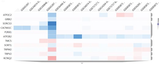 Heatmap results using as input a set of 11 genes related to transmembrane transporter activities. The figure shows a cluster of 16 nutrigenomics experiments based on the expression level of those genes (blue colour represents underexpression, vice versa for red colour). ATP2B2 shows a consistent downregulation among 11 of the clustered experiments.
