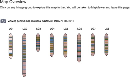 Map Overview page of the Tripal MapViewer user interface. Site visitors can view the linkage group glyphs for a map and by clicking on one, open the main MapViewer page.
