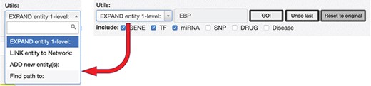 RING graph interface: the Utils panel. The text area allows users to insert a regulatory entity or a list of entities separated by comma, which may be new or already included in the network. On top of them, different procedures may be applied according to the select box choice. The ‘ADD new Entity(s)’ procedure simply includes the new entity(es) in the network as nodes, if they are not present already; the ‘LINK entity to Network’ searches for the specified entity’s interactors already present in the network and links it to them, and finally, the ‘EXPAND entity 1-level’ searches for all the interactors of the new entity and provides a dialogue window (Fig. 10) to further refine the expansion procedure.