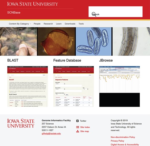 SCNBase.org homepage. The homepage provides a quick access to the most frequently used functions, bioinformatics tools and search functions. Content pages are found in the ‘Content by Category’ links.