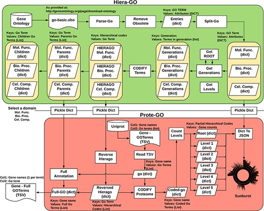 Algorithm used to classify M. abscessus Gene Ontology terms as an interactive sunburst graph. The first set of functions was termed Hiera-GO and creates a set of codified GO-term dictionaries, one for each domain. The second set of functions was termed Prote-GO and uses the created dictionaries to produce the sunburst data and the complete GO annotation for each M. abscessus gene.