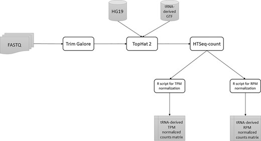A summary of the tRNA-derived ncRNAs identification pipeline from RAW FASTQ files to normalized counts matrix.