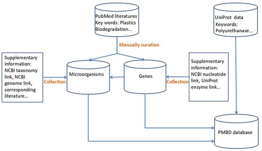 Data collection flow chart.