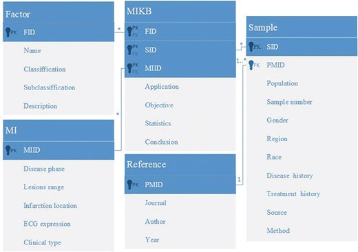 Entity relationship diagram of MIRKB.
