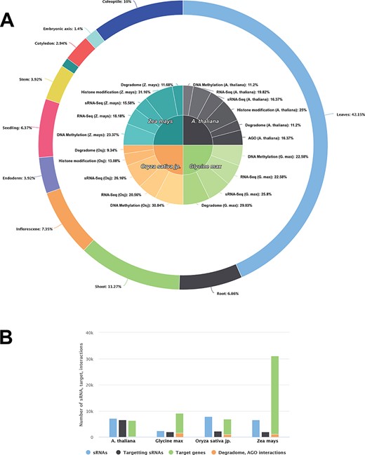 Data statistics of each species in PRP. A The contribution of DNA methylation, small RNA-seq, RNA-seq, degradome, AGO (CLIP-Seq) and genome binding occupancy/Histone modification (ChIP-Seq) sequencing data collected for analysis from Arabidopsis thaliana, Glycine max, Oryza sativa jp. and Zea mays. B ssRNA/miRNA related information and distribution of their targets and experimentally validated targets.