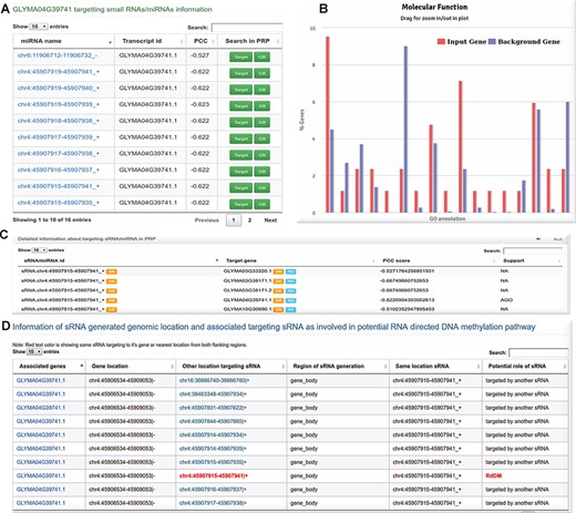 sRNA/miRNA target information: A potential sRNAs of Glycine max targets GLYMA04G39741.1 (defense protein in plant) transcript with significant anti-correlation. B Gene Ontology enrichment analysis performed using target gene and other interacting genes identified from PPI using hypergeometric test followed by Bonferroni P value adjustment. C sRNA/miRNA target gene interaction support status in degradome/AGO sequencing data. D Information on potential RNA-directed DNA methylation (RdDM) by an sRNA and its target gene.