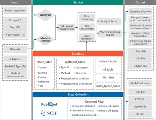 The framework of the RAACBook. Block diagrams showing the modules and functions of RAACBook. Input data are on the left, output data presented on the right. The data of the manually curated database is collected in PubMed by a keyword filter. Users can provide protein sequences in the webpage to generate reduced sequence vector files and visualizations. The users can also upload the protein sequence datasets as input to obtain the corresponding classifier model and evaluation.