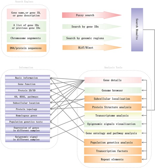 Search engines and analysis tools in SGID. Lines with arrows pointed out a general analysis flow in SGID.