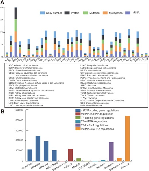 Statistics of data sources. (A) Statistics of TCGA multi-omic datasets across pan-cancer. (B) Statistics of regulatory patterns derived from databases.