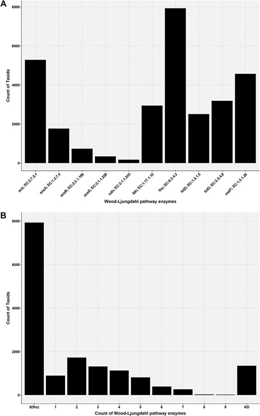 Bar plot showing the presence of Wood–Ljungdahl pathway enzymes in the genome of AcetoBas accessions. (A) Count of taxids for the Wood–Ljungdahl pathway enzymes in the genome of AcetoBase accessions (ND, not determined). (B) Count of taxids for the presence of particular enzymes in the Wood–Ljungdahl pathway.