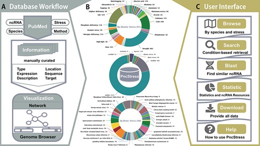The architecture and statistics of PncStress.