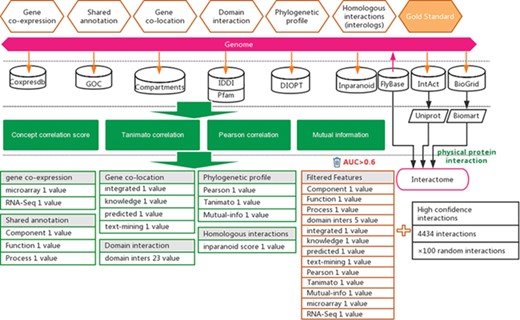 Workflow for the inference of functional interactions between Drosophila genes. High-quality experimental reported protein interactions were integrated from three databases and were used as positive examples. Six types of functional association evidence from 10 databases were collected to infer putative functional interactions. A total of 17 high-quality feature values were selected from 36 feature values that characterize this evidence with different mathematical representations. Random gene pairs after removing positive examples were used as negative examples. The number of negative examples was 100 times that of the positive examples.