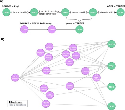 Exploration of the evidence relating candidate regulators of AQP1 to NGLY1 Deficiency phenotypes. (A) Second query topology for the AQP1 regulation-disease phenotypes shared genetic basis hypothesis. (B) Hypotheses resulted from the second query. All edges are of type ‘has phenotype’.