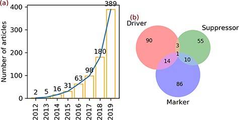 Articles and gene annotation. (a) The increasing trend in the number of ferroptosis articles in PubMed. (b) Intersection of three annotation data sets of genes.