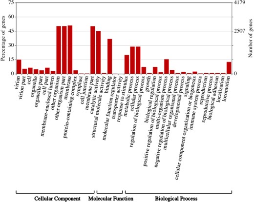 Gene ontology (GO) Enrichment of individual ASFV genes. This figure was created by WEGO (57).