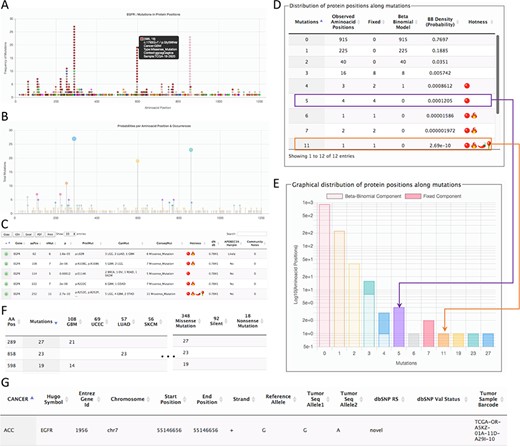 Page for the gene details. The example shows parts of the data shown for the gene EGFR. (A) All mutations in coding regions piled up per position. Pointing to a mutation, a floating tip show details of the mutation. (B) Raw count of mutations per position. (C) Detected hotspots for the current gene. (D) Distribution of mutations used to fit the beta-binomial model. (E) Graphical representation of the distribution of mutations and fitted model. (F) Mutations along cancer types per hotspot. (G) List of all mutations per gene.