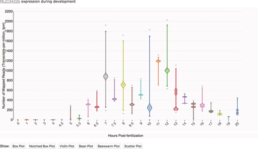 Transcriptomic data displayed as a time-course distribution plot for gene ML215422b. Time-course distribution plots can be accessed through the ‘Temporal Developmental Expression Profile’ link on the MGP Portal home page. The expression profiles can be rendered in a variety of formats by clicking on the buttons immediately below the plot. Here, the profile is visualized as a bean plot.