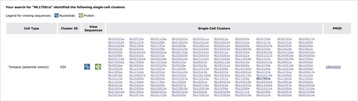 An exploration of cell-type specificity for ML17501a using the Mnemiopsis ‘Single-Cell Expression’ tool identifies a single-cell cluster in cell type ‘Tentacle (potential venom)’ containing three of the four collagen IV genes (ML17501a, ML17502a and ML17504a). Clicking on a gene identifier link in the matrix takes the user directly to that gene entry in the Mnemiopsis Gene Wiki. Here, the original gene queried (ML17501a) is shown in bold italic type. Users can also view and download FASTA-formatted DNA (blue) and protein (green) sequences for all genes in a cluster by clicking on the desired sequence icon in the View Sequences column.