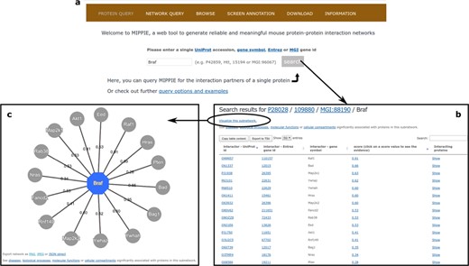 (a) On MIPPIE’s PROTEIN QUERY tab, users can enter a valid protein identifier to retrieve the interaction partners of that protein, if any. (b) MIPPIE generates a table with the query results and provides a link to generate a visual representation of the table (c).