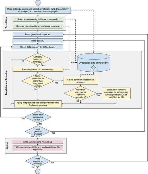 Workflow diagram of the gene summary generation process at the Alliance of Genome Resources. Solid arrows represent sequential steps followed by the software to generate the summaries, whereas dashed arrows represent data flow from/to the algorithm to data stores. Ontologies and annotations are loaded and represented as graphs. Then, term filters and renaming are applied to the annotations and to the ontology graphs. For each gene, basic information such as gene ID, name and additional information such as orthology data are fetched. The list of terms associated with the gene is extracted from the Alliance database and sentences are generated according to the templates defined for each data category. If the list of terms exceeds the defined maximum number, the trimming algorithm reduces the length of the sentence by traversing the related ontology graph and by selecting the common ancestors that best group the initial set of terms. Ontology graphs are also used to resolve parent–child relationships to avoid including both parent and child terms in the final summaries. The final summaries are generated by concatenating the data category specific sentences and are written to the Alliance database and to the download files available on the Alliance website.