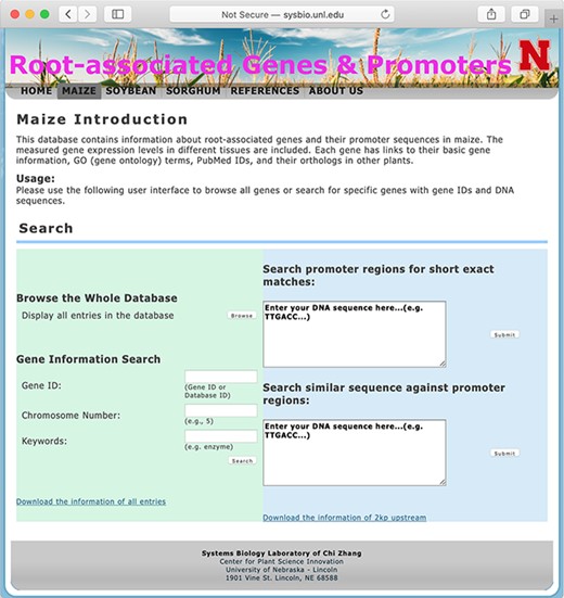 The searching page of the database.